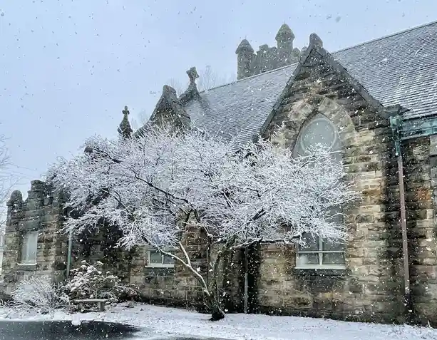 Enjoying a picturesque snowy day