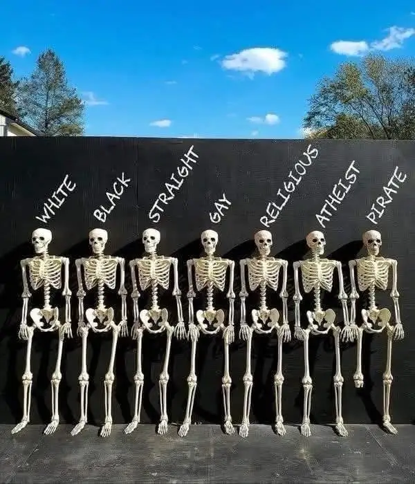Seven plastic skeletons stand in a row against a black backdrop under a blue sky, each labeled above with a word: WHITE…