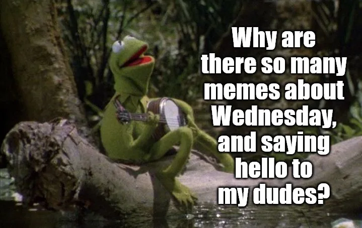 A green frog puppet, Kermit the Frog, sits on a log in a forest, playing a banjo with his mouth open as if singing. White…