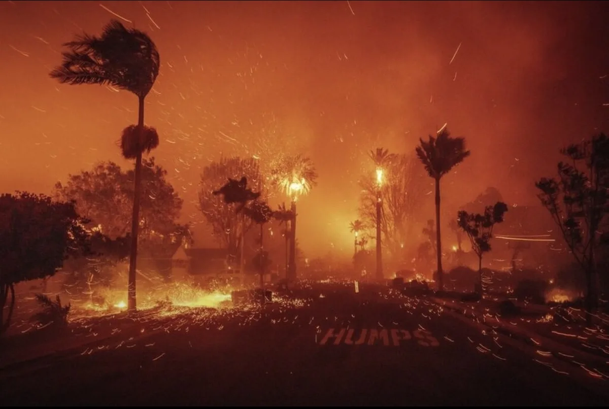 A dramatic photograph of a residential street engulfed in wildfire, with palm trees silhouetted against an orange sky filled…
