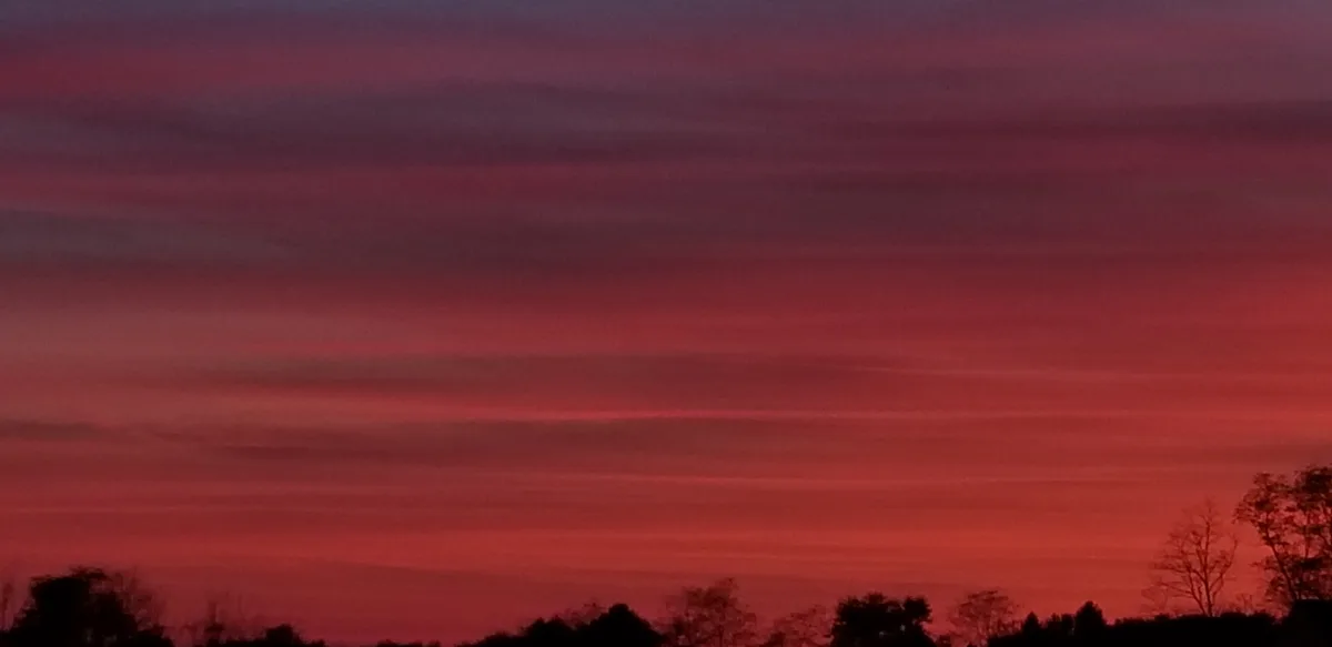 Check out this stunning sunset that just took my breath away