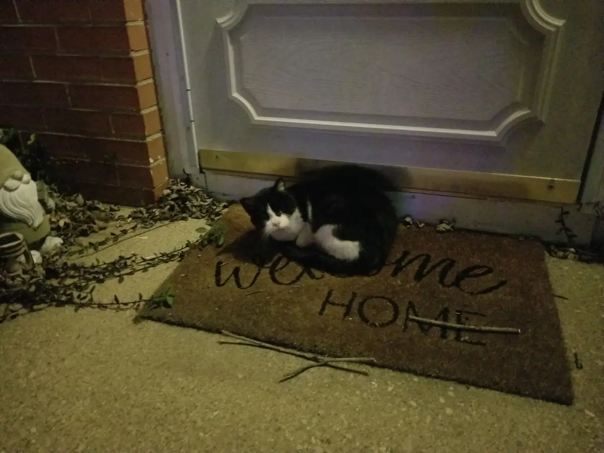 A black and white cat is curled up sleeping on a brown doormat that reads 'welcome home' in front of a door. Two sticks are…
