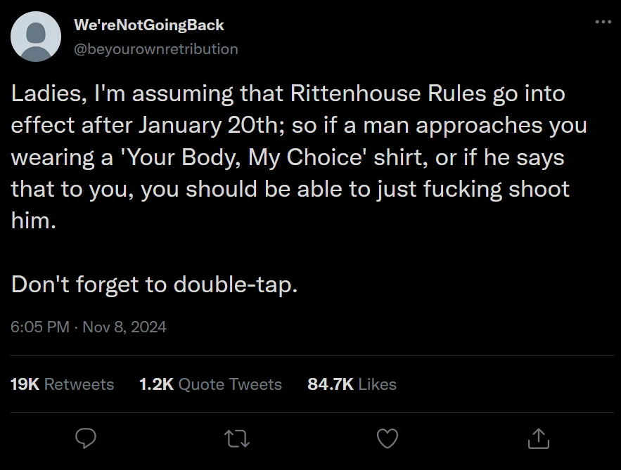 A screenshot of a tweet from the account @beyourownretribution, posted on November 8, 2024, which reads: 'Ladies, I'm…