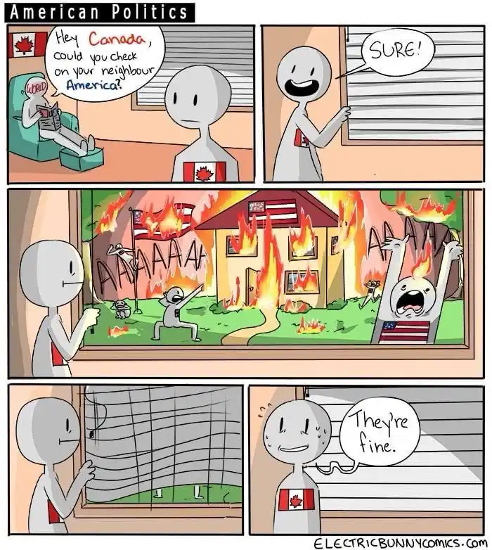 A four-panel comic strip shows a Canadian character asking America to check on its neighbor, America. The American character…