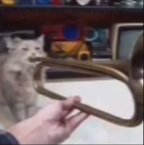 A blurry image shows a light-colored cat standing behind a brass trombone held by a person's hand. The cat stares forward…