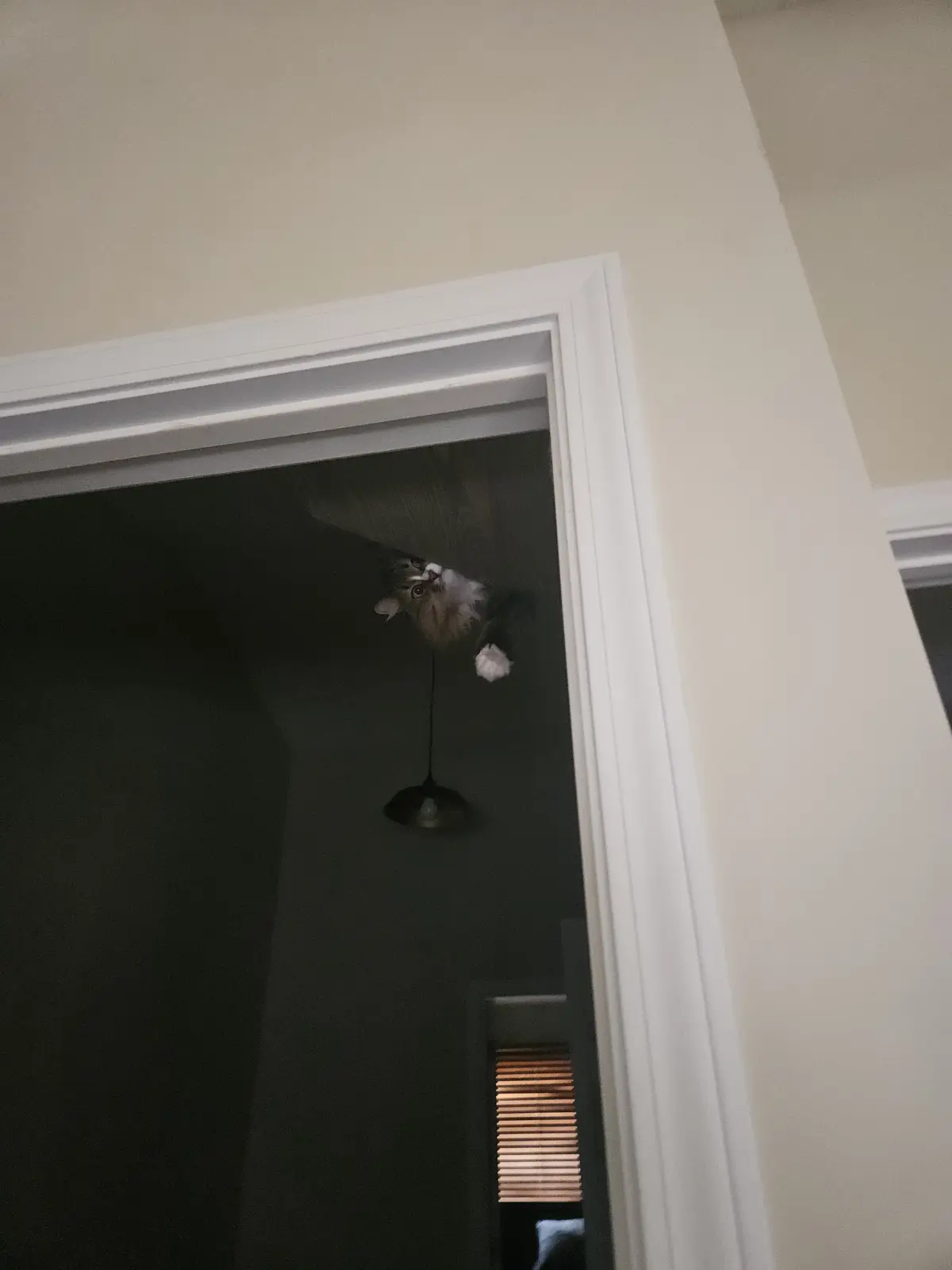 Is someone watching me right now?