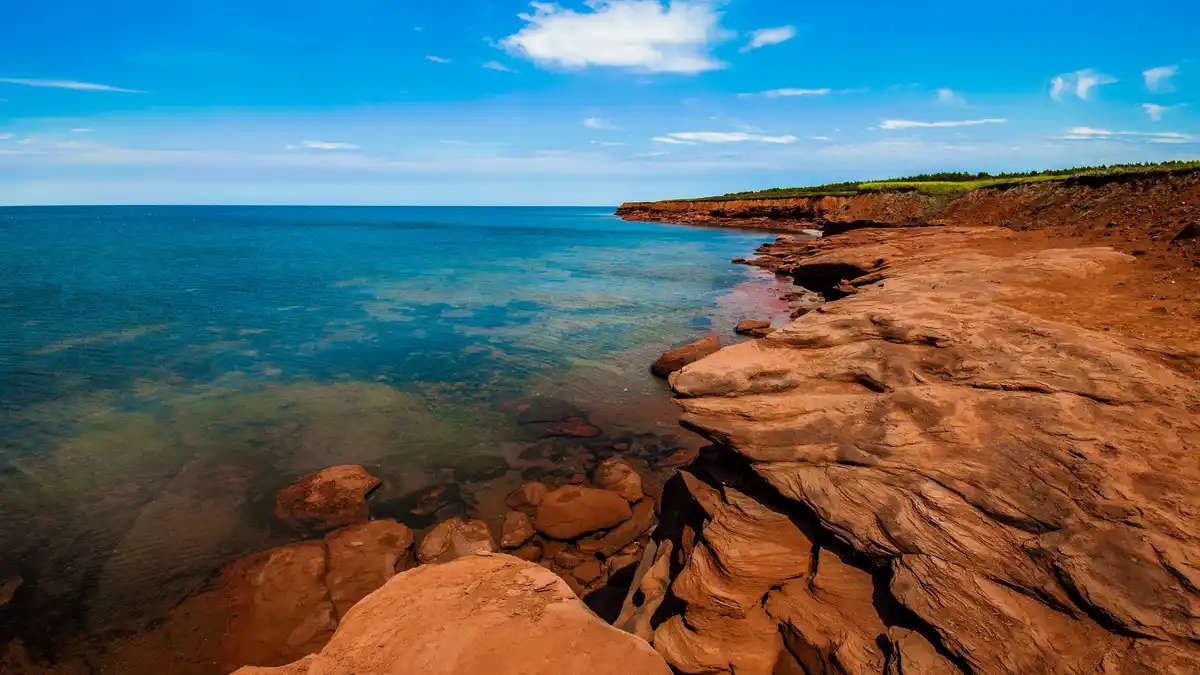 Prince Edward Island, Canada's smallest province, stands out against the clear blue Gulf of St. Lawrence. The soil and…