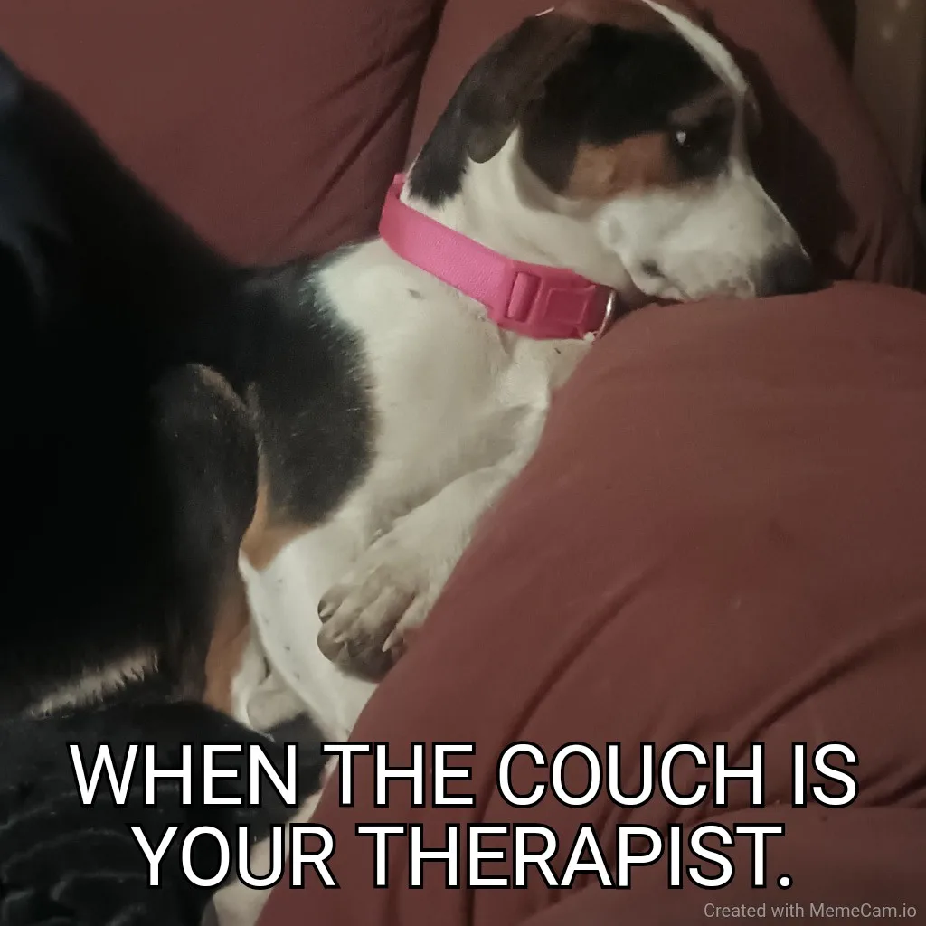 A black, white, and tan dog with a pink collar is curled up and resting its head on a reddish-brown couch cushion, appearing…
