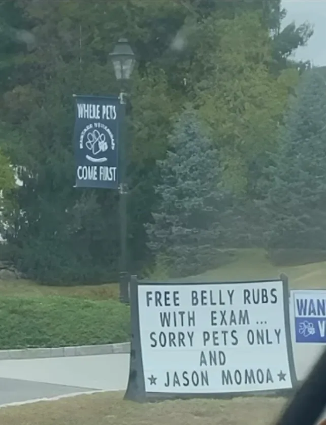 A photo taken from a car shows a white sign in front of a veterinary clinic advertising 'FREE BELLY RUBS WITH EXAM ... SORRY…