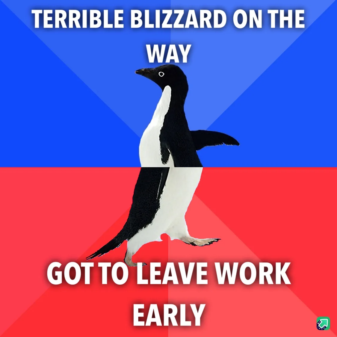 A black-and-white penguin stands centered against a split blue and red background. White bold text at the top reads…