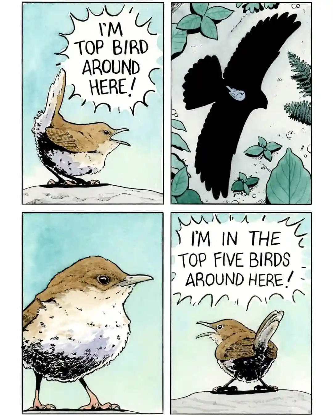 A four-panel comic strip featuring a small brown and white bird. In the first panel, the bird declares, "I'M TOP BIRD AROUND…