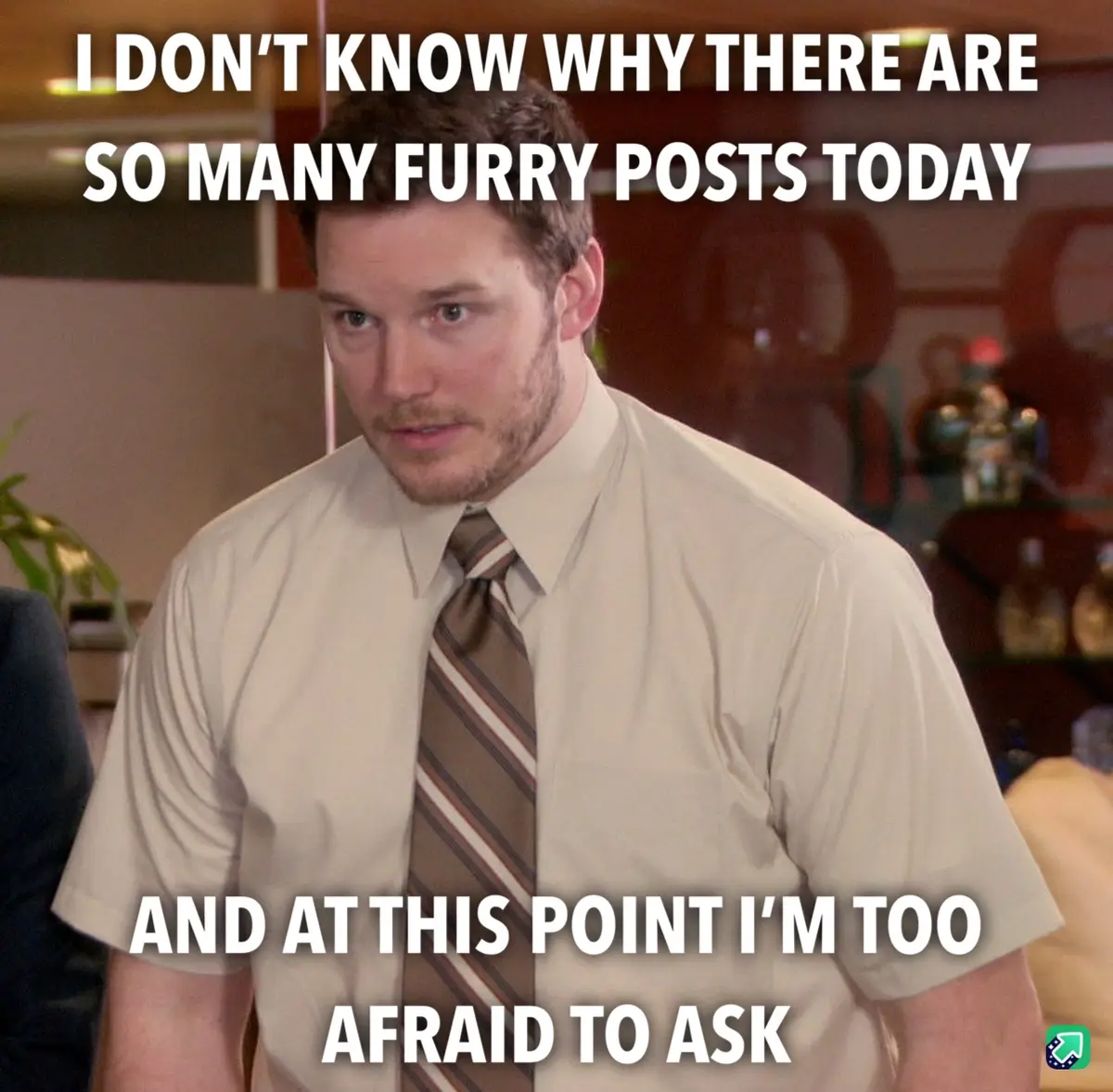 They seem to be everywhere!