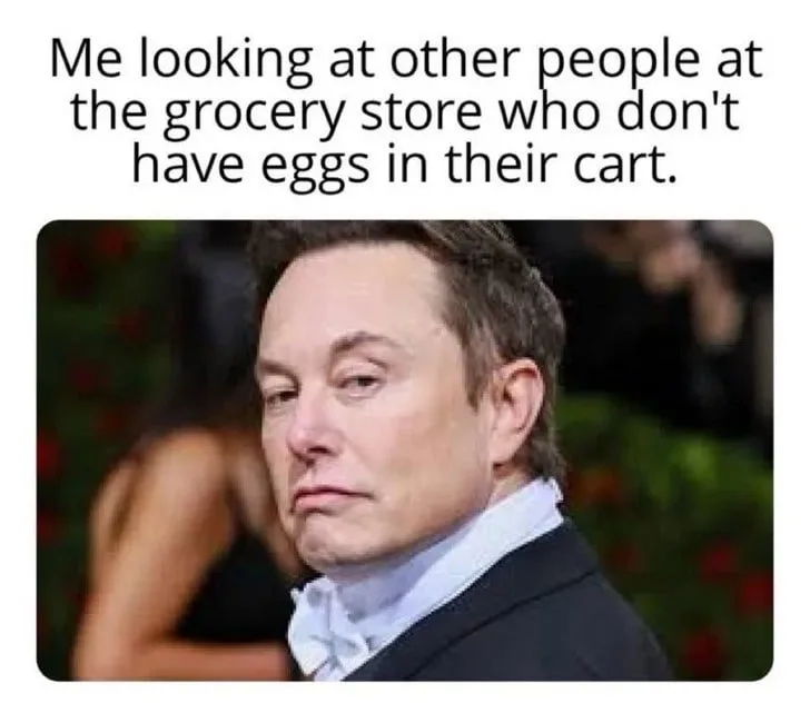 A close-up photo of Elon Musk looking disdainful and judgmental, overlaid with text that reads 'Me looking at other people…