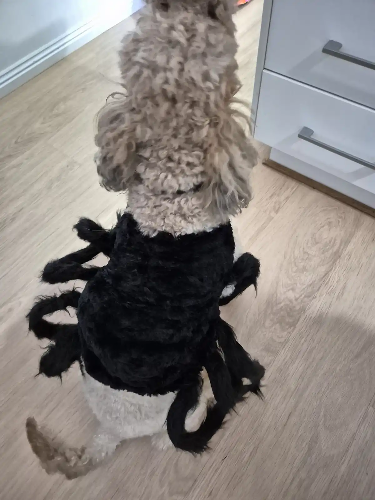 What a good boy indeed!