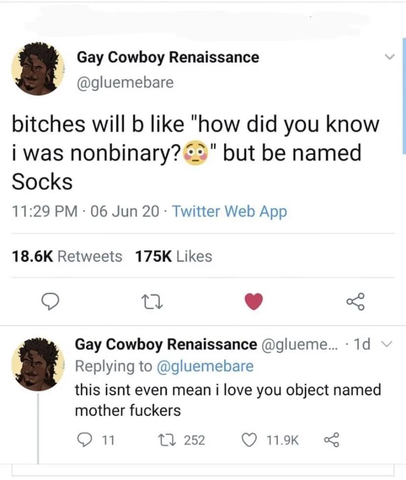 A screenshot of a Twitter post by 'Gay Cowboy Renaissance' showing a tweet that reads 'bitches will b like "how did you know…