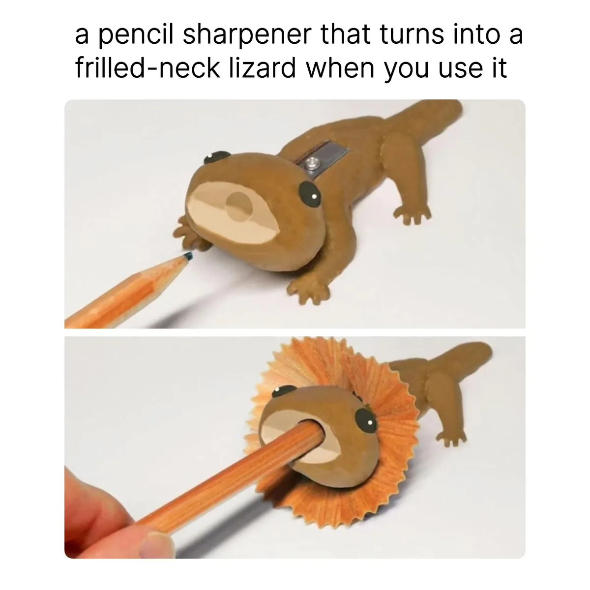 The image shows a two-panel meme. The top panel displays a brown, lizard-shaped pencil sharpener with a pencil being…