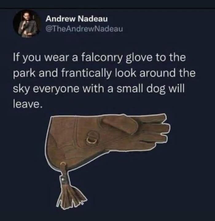 A screenshot of a tweet by Andrew Nadeau shows a brown leather falconry glove with a tassel hanging from the wrist. The…
