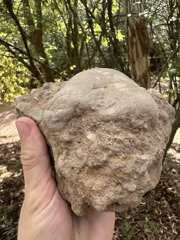 A person's hand holds a large, weathered stone that resembles a human face with a frowning expression, set against a blurred…
