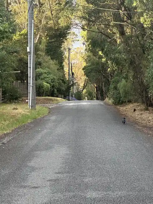 Journey Down the Iconic Yellow Brick Road