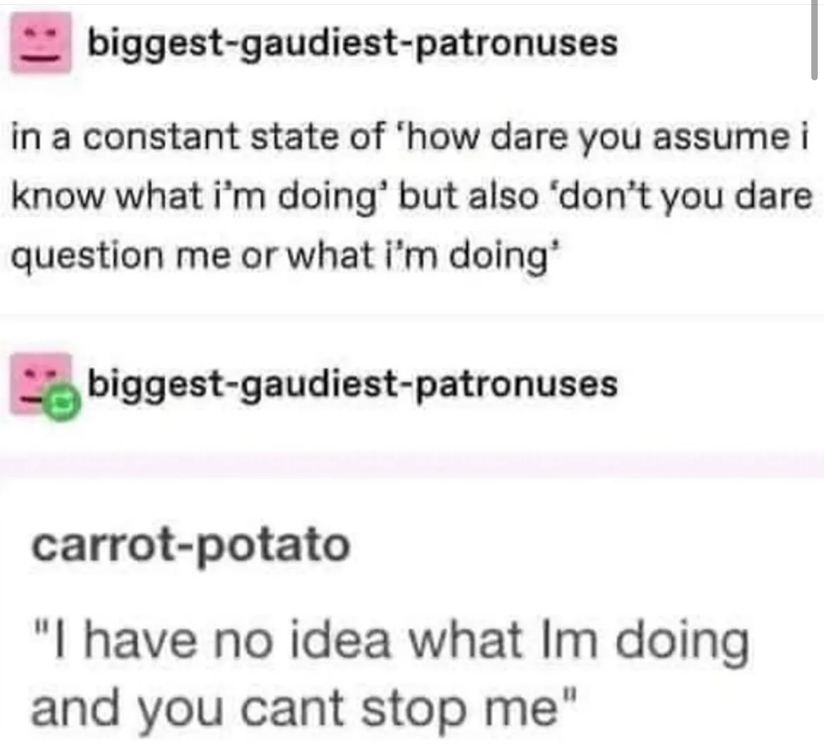 The image shows a screenshot of a Discord chat. The user 'biggest-gauidiest-patronuses' posts a message about being in a…