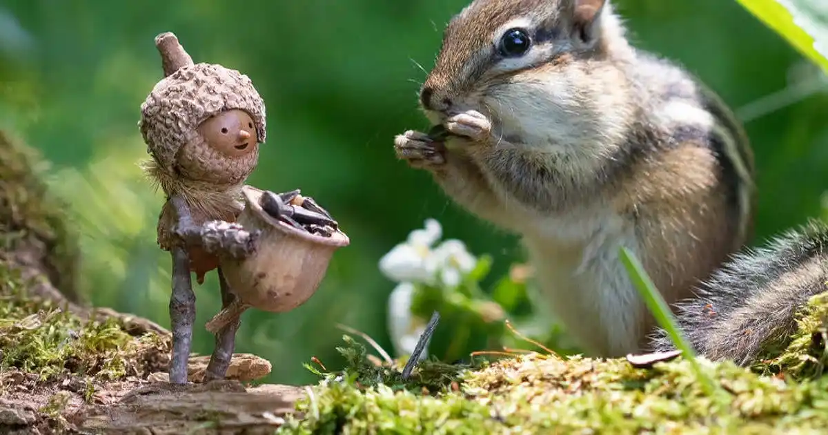 A small, handmade acorn figurine with a face and twig limbs holds a bowl of acorns while a real chipmunk eats an acorn…