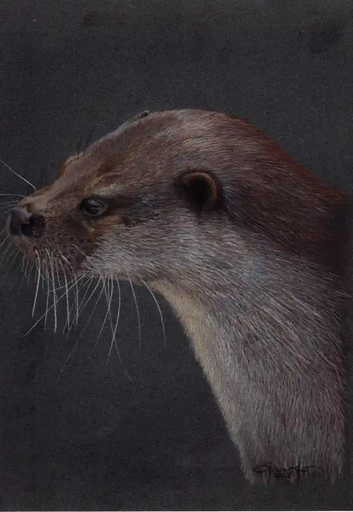 A detailed, realistic drawing of an otter's head in profile against a dark background, with the overlaid text 'i'm not a fan…