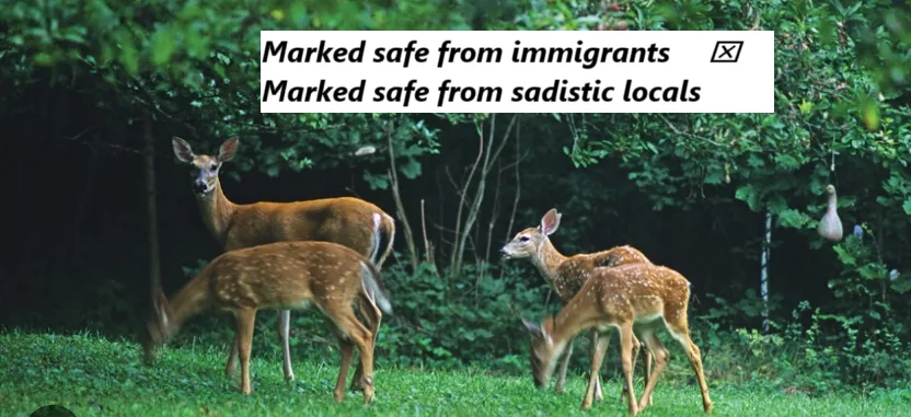 A photo of several deer in a forest clearing with text overlaid in a white box. The text reads 'Marked safe from immigrants'…