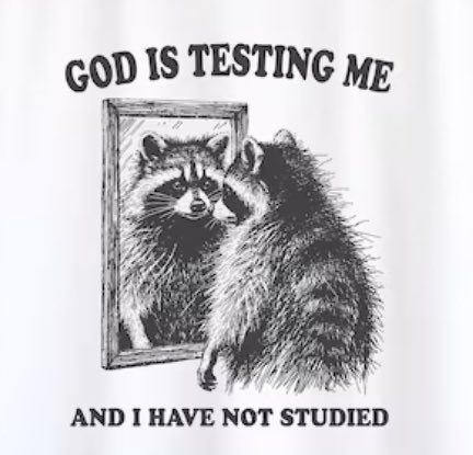A black-and-white illustration shows a raccoon looking at its reflection in a framed mirror. The raccoon appears confused or…