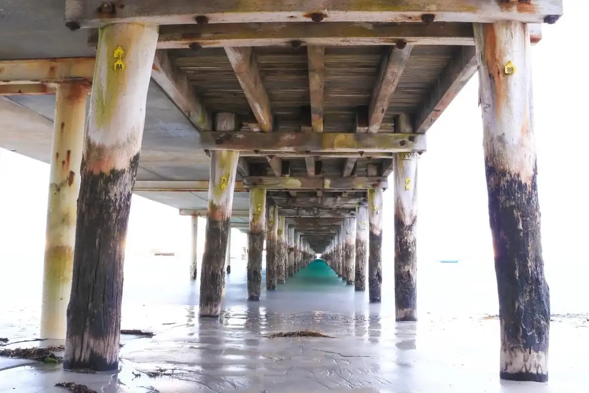 A low-angle shot looking down a long, straight corridor formed by the wooden support pillars of a pier, with wet sand and…