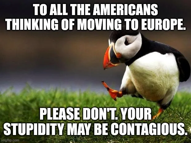 A penguin stands on grass, looking down with one foot raised, overlaid with bold white text that reads 'TO ALL THE AMERICANS…