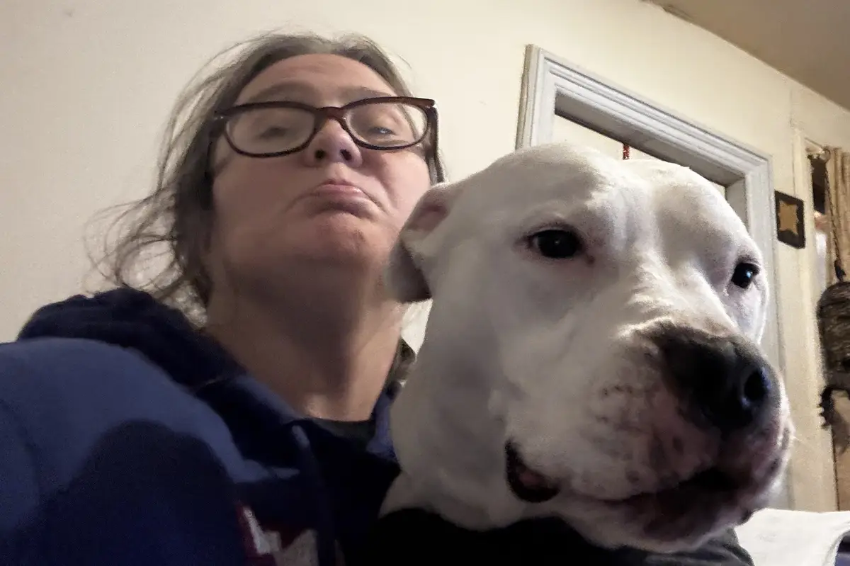 The Doggo Steals the Spotlight While I Just Exist