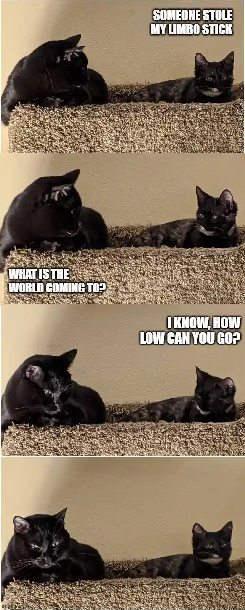 The Adventures of Splunk and Smudge