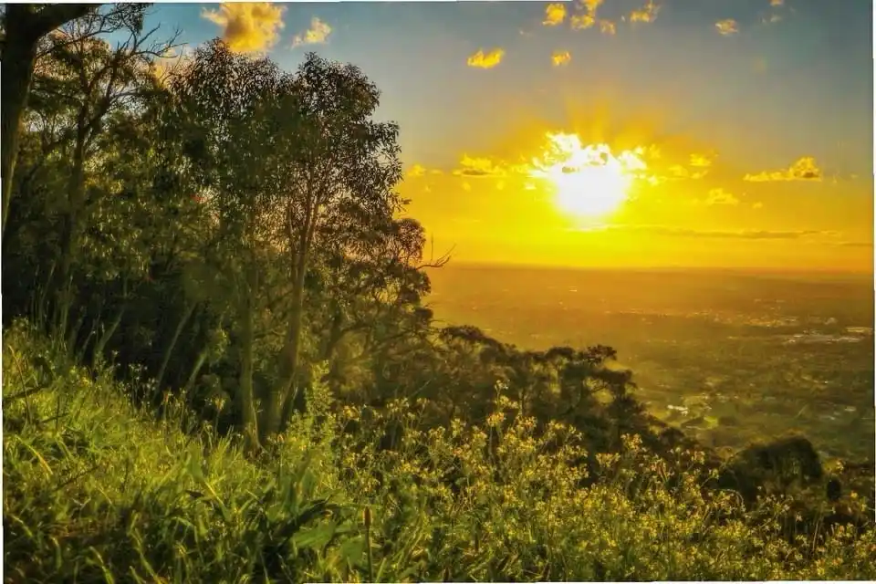 Radiant Sunshine Bliss