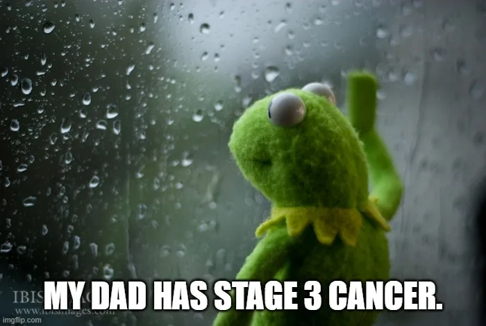 A green felt frog puppet, Kermit the Frog, is shown looking out a rain-streaked window with a sad expression. The text…