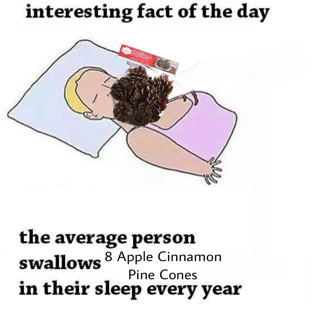 A cartoon drawing of a person sleeping on a pillow, with a bag of apple cinnamon pine cones superimposed over their chest…