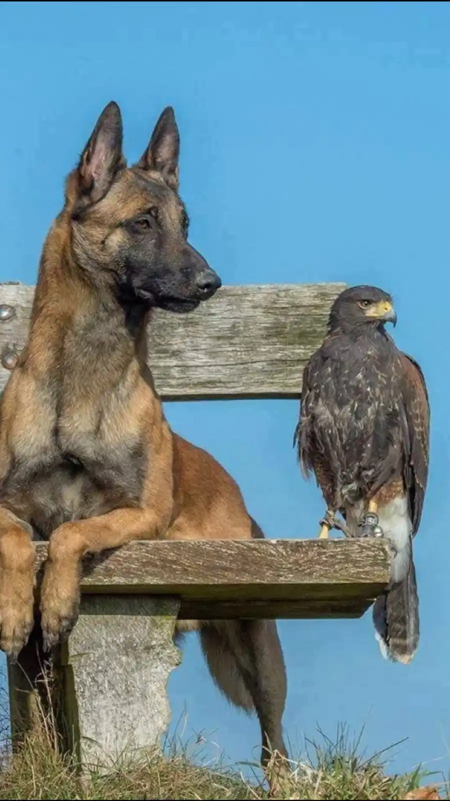 Stunning Photography by Tanja Brandt