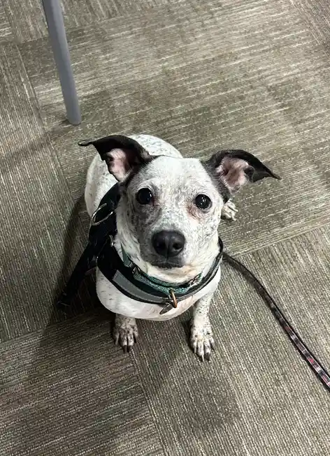 Fiona: the star of the show!