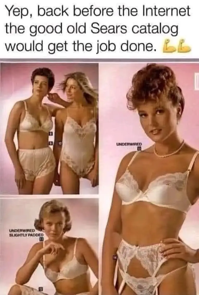 The image displays three vintage Sears catalog photos of women in white lingerie against pink backgrounds. The top-left…