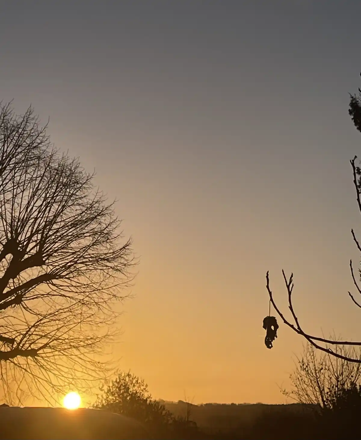 A serene sunset with the sun low on the horizon, casting a warm orange glow across the sky. Bare tree branches frame the…