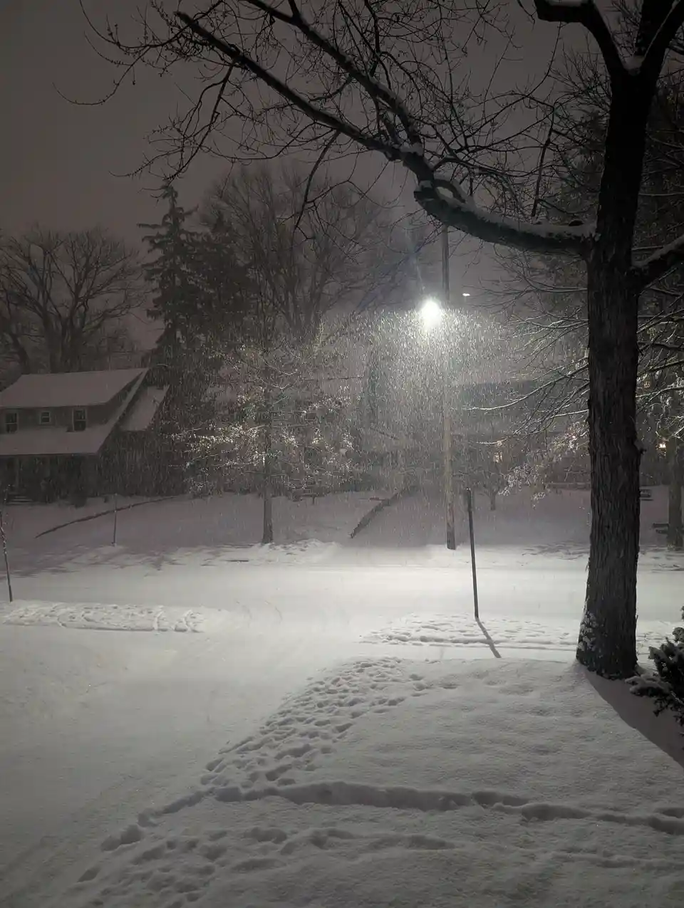A nighttime photograph of a snow-covered residential street with bare trees, a house in the background, and a streetlight…