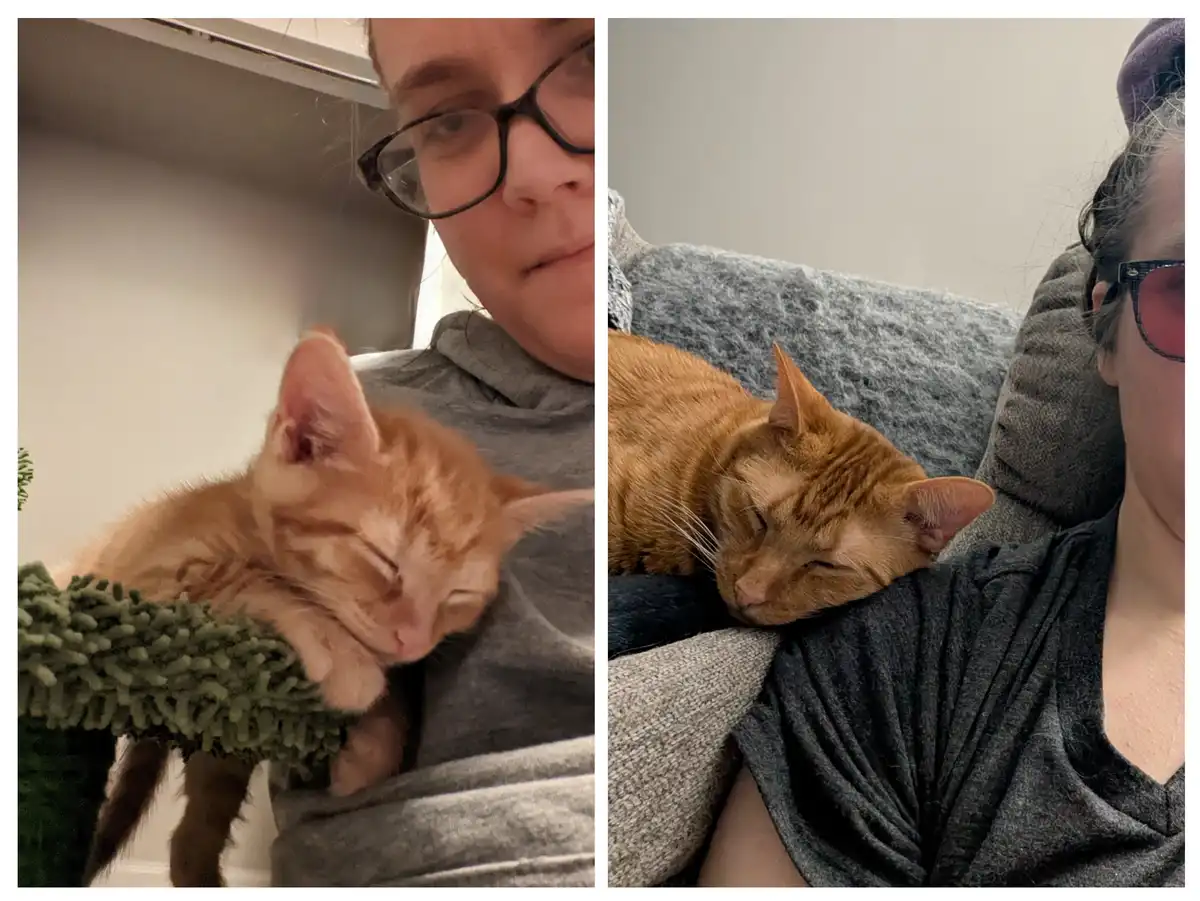 Two side-by-side photos show a person with a ginger cat in each. Left: a small kitten sleeps peacefully on the person's…