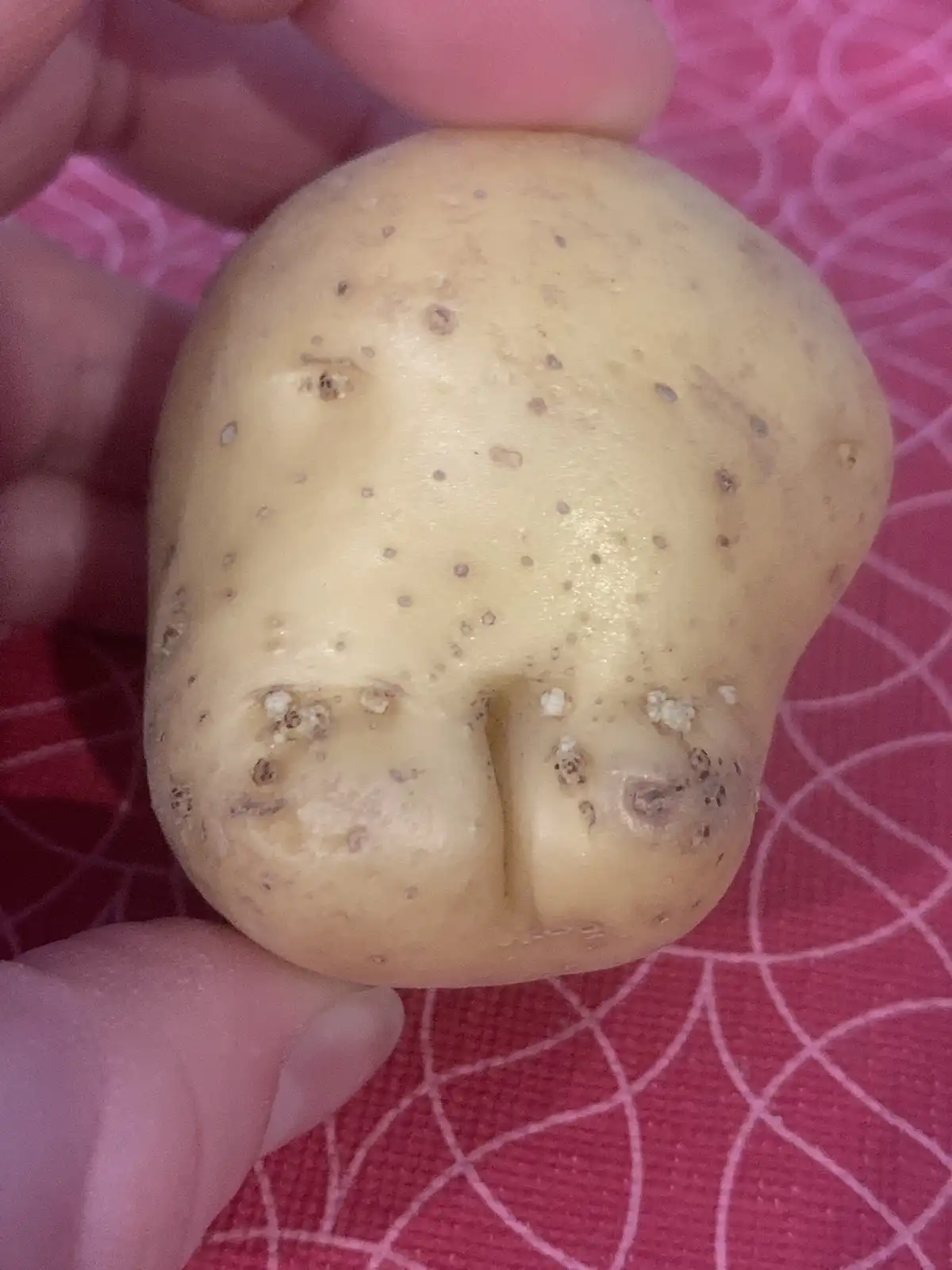 A close-up photo shows a hand holding a light-brown potato against a pink patterned background. The potato has natural…