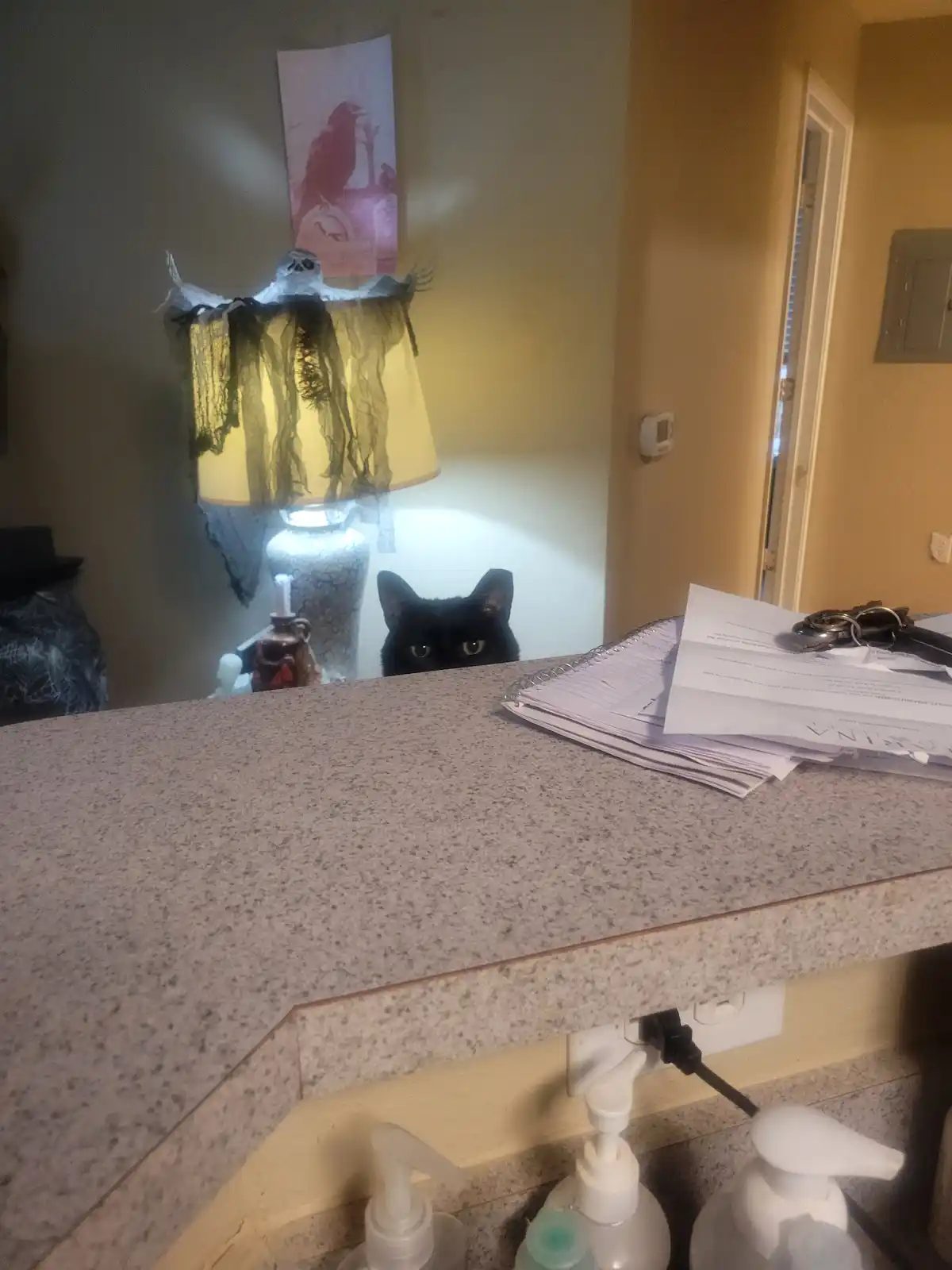 A black cat peeks over a speckled countertop, its eyes wide and alert, while behind it a lamp decorated with a ghostly…