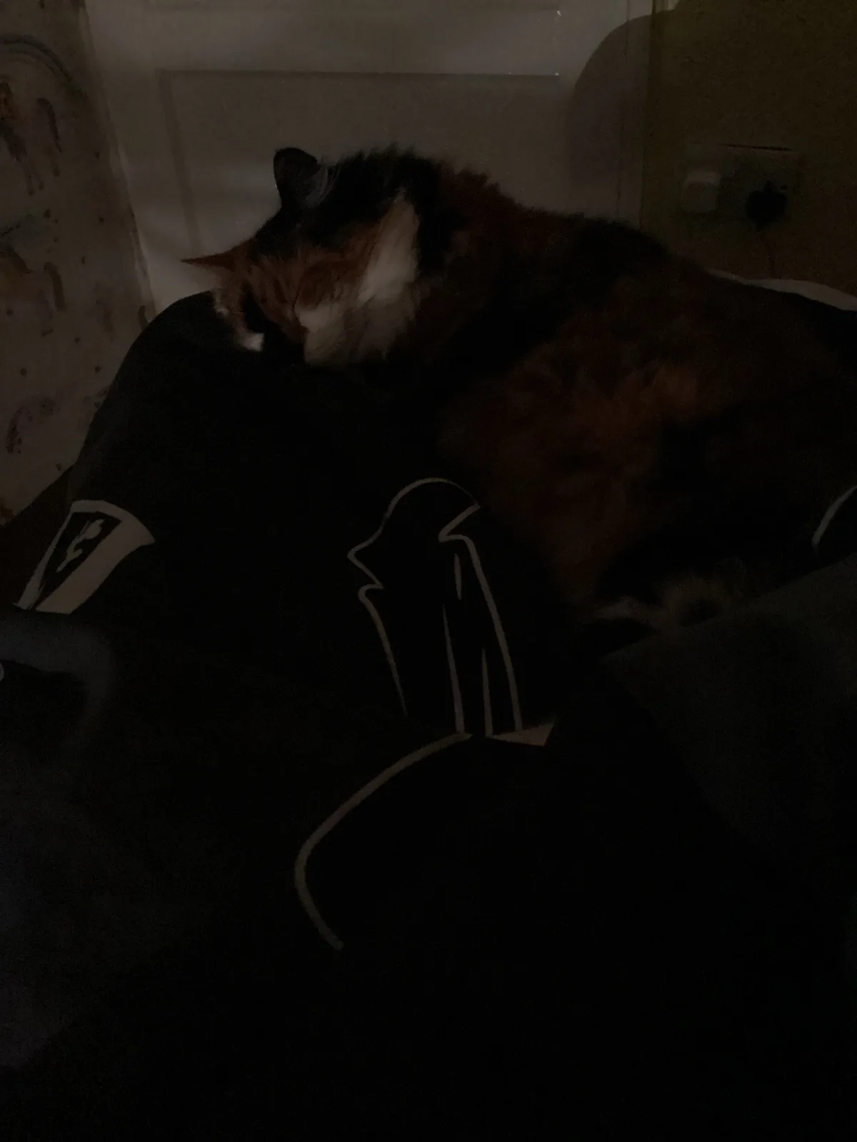 A calico cat is curled up and sleeping soundly on a dark-colored hoodie with a white logo, in a dimly lit room. The overlaid…