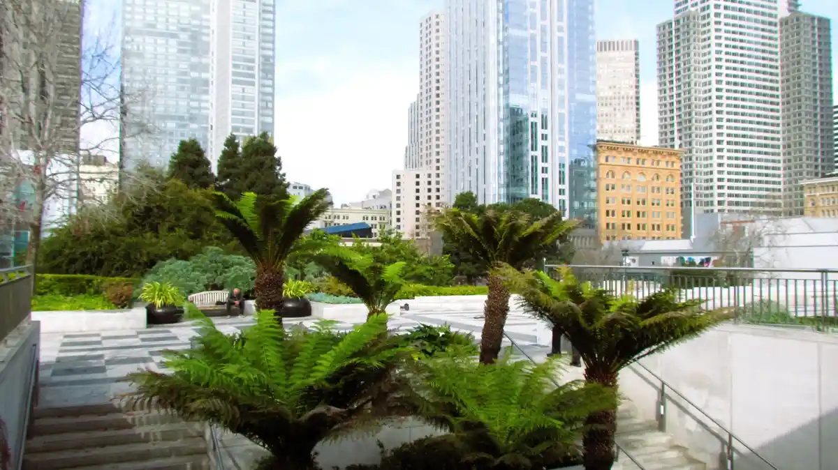 A serene urban garden with lush ferns and palm-like plants in the foreground, set against a backdrop of towering…