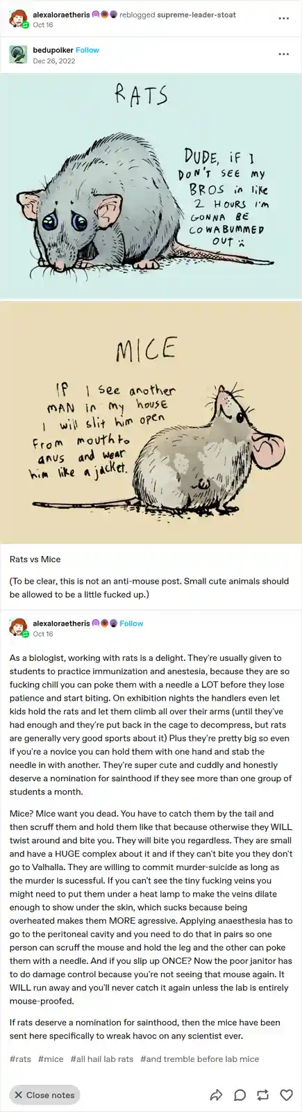 The Epic Showdown: Rats vs Mice