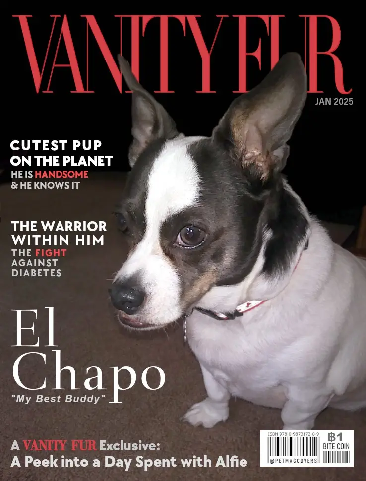 A dog with black and white fur and large ears is featured on a magazine cover parodying Vanity Fair, titled 'VANITY FUR JAN…