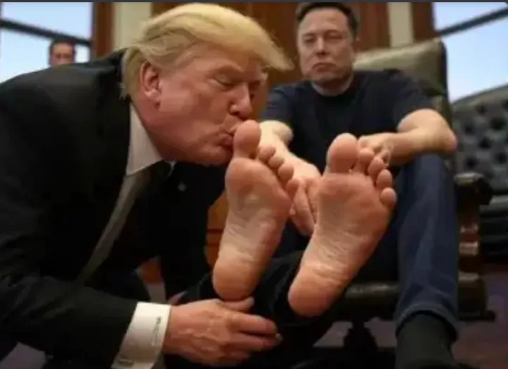donald trump, vestido con traje oscuro, besa los pies de elon musk, quien está sentado en un sillón con expresión neutra. el…