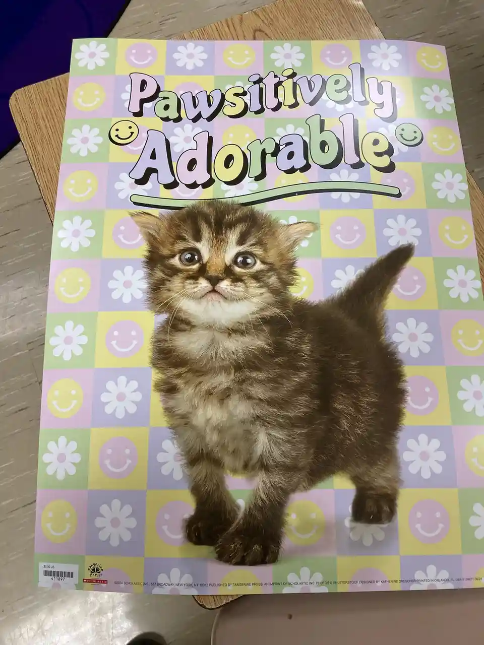 A book cover titled 'Pawsitively Adorable' features a small brown tabby kitten with wide, unimpressed eyes looking upward…