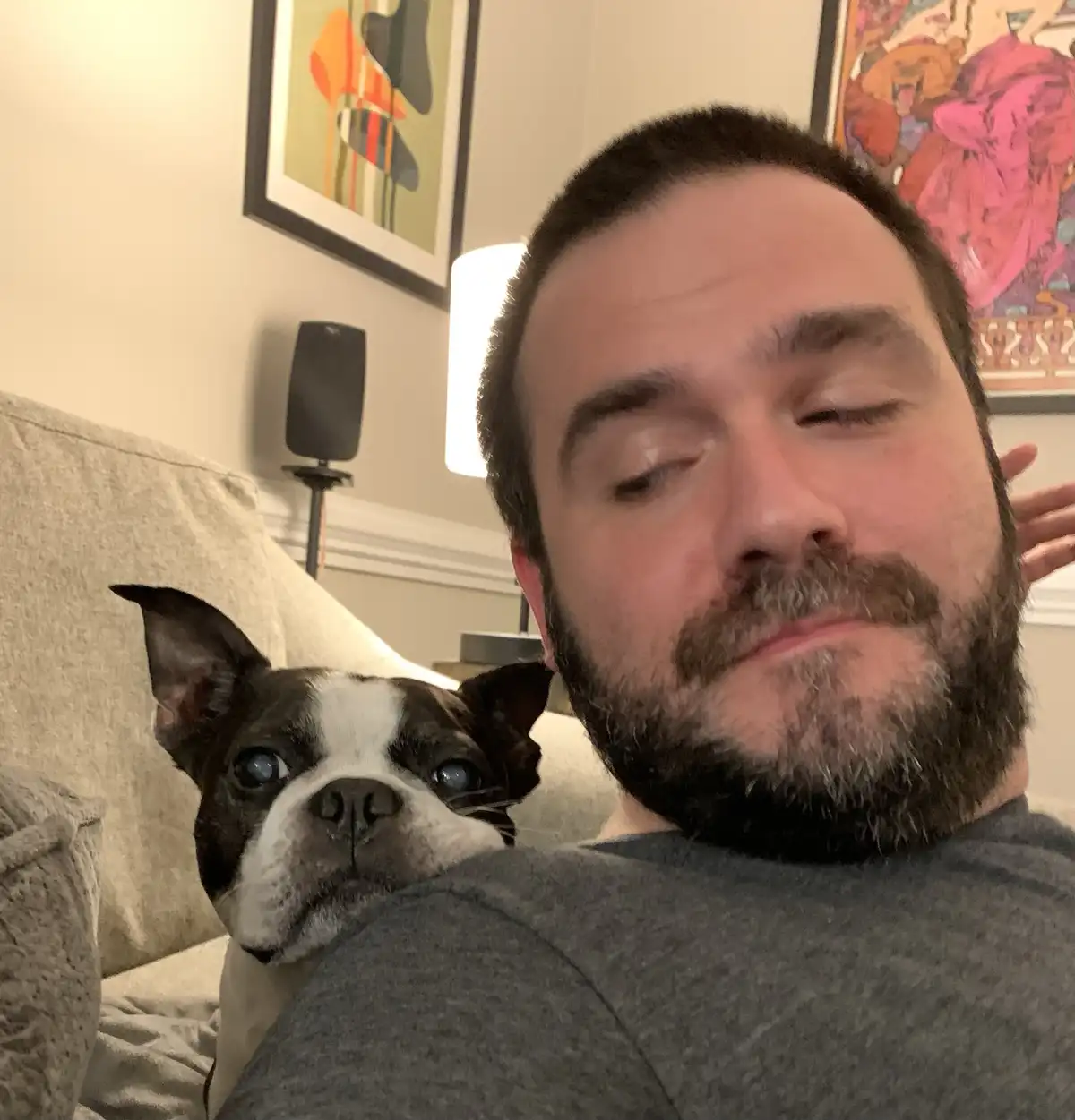 A man with a beard and closed eyes appears to be relaxing or sleeping on a couch, while a black and white Boston Terrier dog…